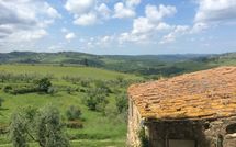 Photo submitted by guest of La Chiantigiana