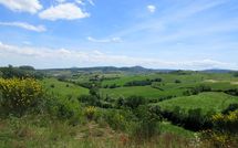 Photo submitted by guest of Podere San Bono