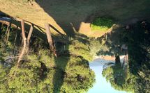 Photo submitted by guest of Spuntone