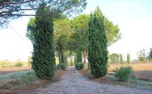 Photo submitted by guest of Villa Ponticelli