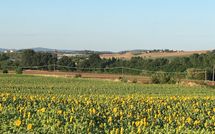 Photo submitted by guest of Villa San Fabiano