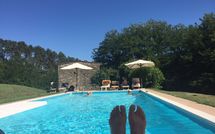 Photo submitted by guest of La Cecchella