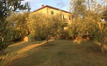 Photo submitted by guest of Casa Felice