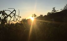 Photo submitted by guest of Vinci 820