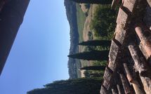 Photo submitted by guest of Tenuta Il Tresto