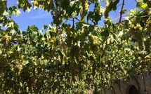 Photo submitted by guest of Villa Piazza della Fortezza