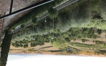 Photo submitted by guest of Loggia del Poggiolo