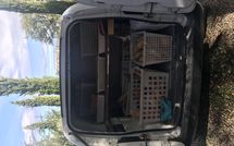 Photo submitted by guest of Villa Il Prato