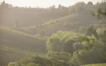 Photo submitted by guest of Agriturismo Paterno