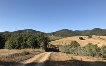 Photo submitted by guest of Santa Barbera