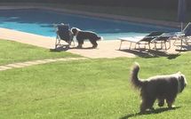 Photo submitted by guest of Alisso