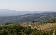 Photo submitted by guest of La Fornace