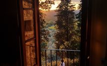 Photo submitted by guest of Villa Terrazza