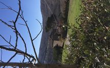 Photo submitted by guest of Villa della Valle