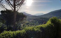 Photo submitted by guest of La Palma