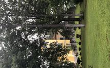 Photo submitted by guest of Il Poggio di Patrignone