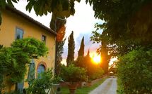 Photo submitted by guest of Tenuta Il Tresto