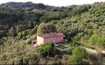 Photo submitted by guest of Villa Igea 13