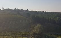 Photo submitted by guest of Casa Rossa