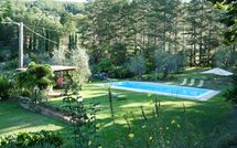 Photo submitted by guest of Rufina 200