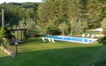 Photo submitted by guest of Rufina 200