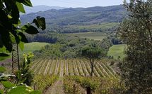 Photo submitted by guest of Cerretalta