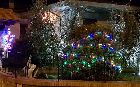 La Casina Del Canneto: Lighting, Light, Night, Landscape Lighting, Tree, Architecture, Interior Design