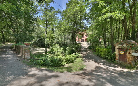 Podere Il Doccio: Tree, Nature Reserve, Vegetation, Property, Natural Environment, Biome, Forest, Trail, Woodland, Land Lot