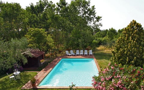 Villa Acacia: Swimming Pool, Property, Natural Landscape, House, Tree, Real Estate, Estate, Garden, Building, Backyard