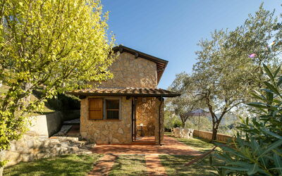 Villa Del Colle: Plant, Sky, Property, Plant Community, Window, Natural Landscape, Building, Tree, Wood, Land Lot