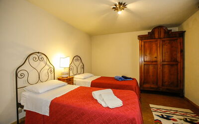 Accommodation:&nbsp;Paulonia