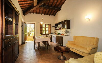 Accommodation:&nbsp;Paulonia