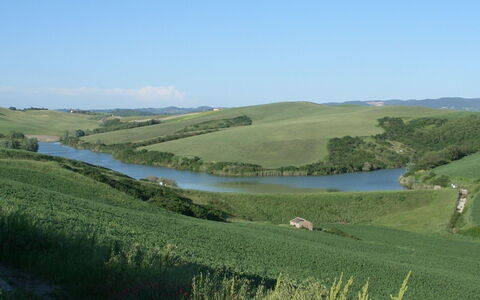Agriturismo Il Gattero: Grassland, Natural Landscape, Natural Environment, Plain, Water Resources, Hill, Rural Area, Pasture, Water, Land Lot