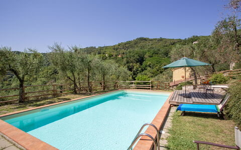Villa Mastiano: Swimming Pool, Property, Real Estate, House, Leisure, Estate, Building, Vacation, Home, Backyard