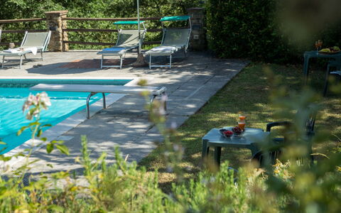 Podere Schignano: Plant, Furniture, Plant Community, Vertebrate, Chair, Water, Botany, Outdoor Furniture, Vegetation, Grass