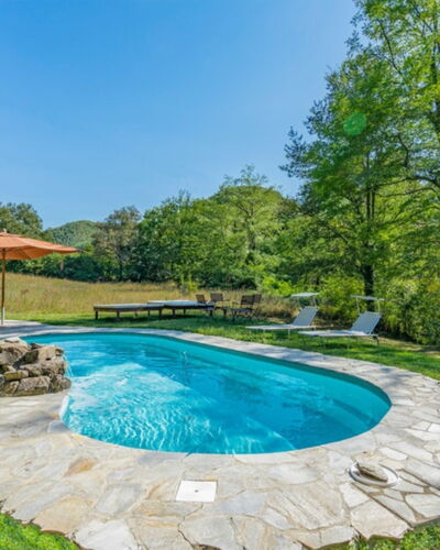 Villa Paola: Swimming Pool, Property, Natural Landscape, Backyard, Real Estate, Estate, House, Grass, Home, Yard