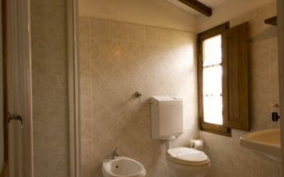 Accommodation:&nbsp;Archi