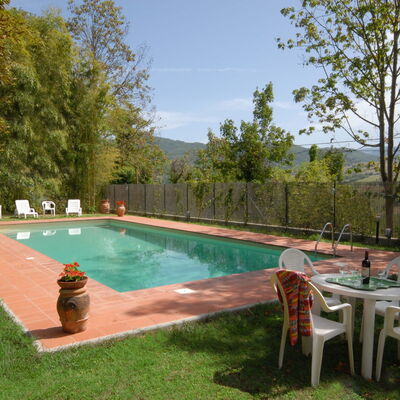 Villa Del Conte: Swimming Pool, Property, Backyard, Grass, Leisure, Real Estate, Estate, House, Yard, Tree
