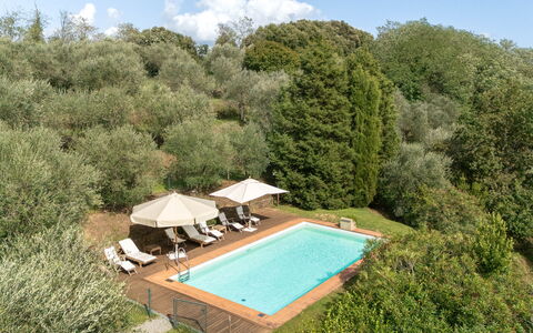 Il Vignale: Swimming Pool, Estate, Resort, Garden, Hacienda, Villa, Eco Hotel, Farmhouse, Landscaping, Lawn