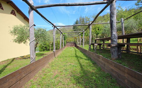 Villa Miramare: Tree, Bridge, Grass, Rural Area, Real Estate, Walkway, Architecture, Nonbuilding Structure, Land Lot, Plant