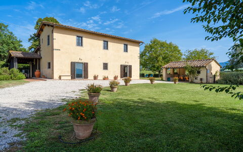 Villa La Collina: Plant, Sky, Cloud, Building, Window, Tree, Flowerpot, House, Land Lot, Door