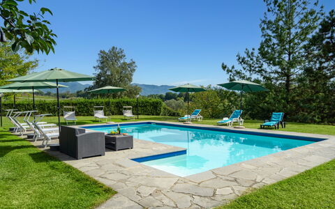 Villa La Collina: Water, Plant, Sky, Swimming Pool, Tree, Shade, Outdoor Furniture, Grass, Building, Leisure