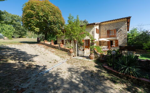 Casa Corella: Plant, Sky, Property, Building, Window, Tree, House, Road Surface, Neighbourhood, Landscape