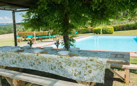 Villa Le Volte: Swimming Pool, Property, Vacation, Leisure, Tree, Resort, House, Real Estate, Table, Landscape