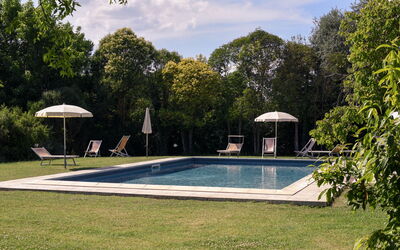 Accommodation:&nbsp;Pini