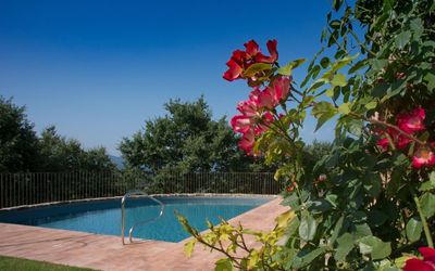 Villa Mandorlo - Arezzo, Tuscany, Italy