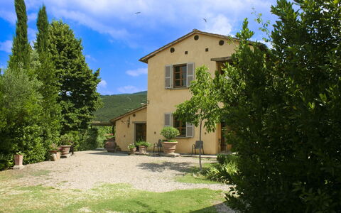 Collina dei Fiori
