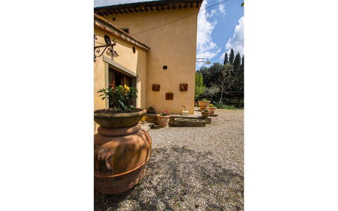 Collina dei Fiori: Plant, Property, Flowerpot, Window, Sky, Cloud, Building, Couch, Houseplant, Wood