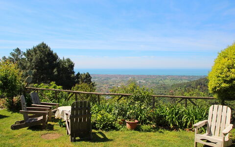 Villa La Collinetta: Cloud, Sky, Plant, Natural Landscape, Tree, Land Lot, Wood, Grass, Leisure, Grassland
