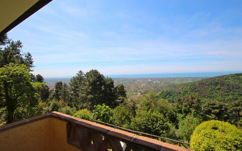 Villa La Collinetta: Cloud, Sky, Property, Nature, Leaf, Wood, Architecture, Tree, Vegetation, Morning